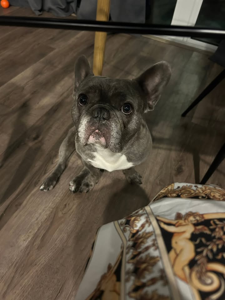 Frida, Family, and the Final Vote